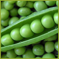 Green Peas