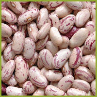 Light Speckled Kidney Beans
